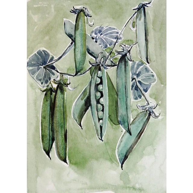 American Mid Century Watercolor Painting of Garden Green Peas For Sale - Image 3 of 3