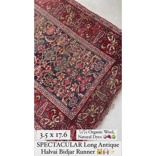 Antique Halvai Bidjar Runner Boteh Border with Lime Greens Rug 3.6 x 17.7 For Sale - Image 11 of 13