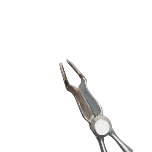 Art Nouveau Danish Grapes Scissors, 1920s For Sale - Image 4 of 7