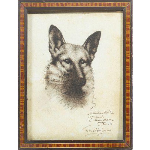 Francisco Da Silva Gouveia, Dog, Mixed Media on Paper For Sale