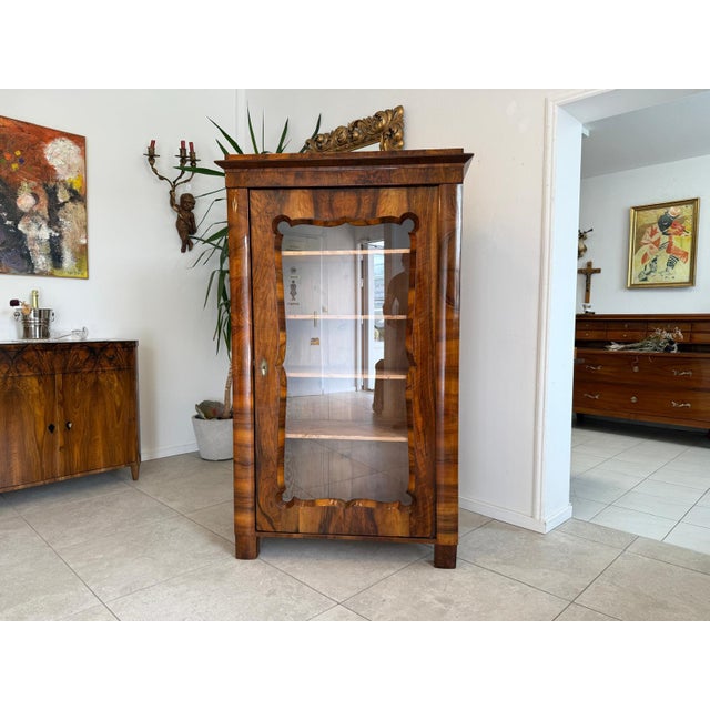 Restored Biedermeier Display Cabinet, Bookcase, Collector's Display Cabinet, Walnut, Height x Width x Depth 169 x 102 x 48...