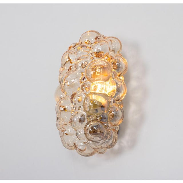 Amber Bubble Glass Sconce by Helena Tynell for Limburg, Germany, 1960s For Sale - Image 15 of 16
