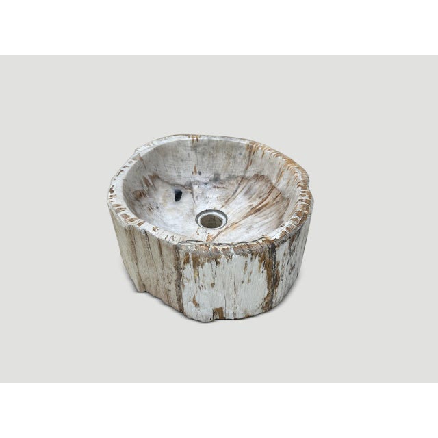 Andrianna Shamaris Petrified Wood Sink For Sale - Image 4 of 6