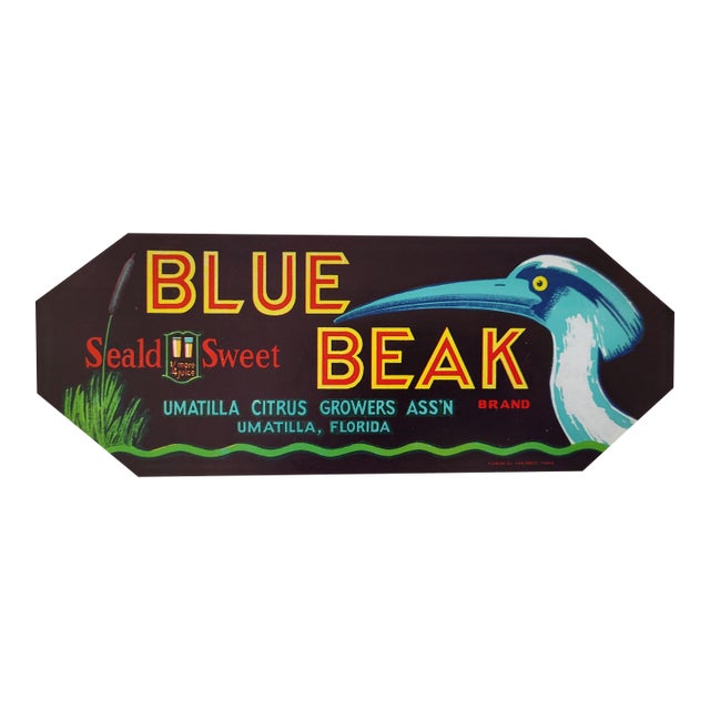 1930s Blue Beak Citrus Crate Label of Umatilla, Florida For Sale