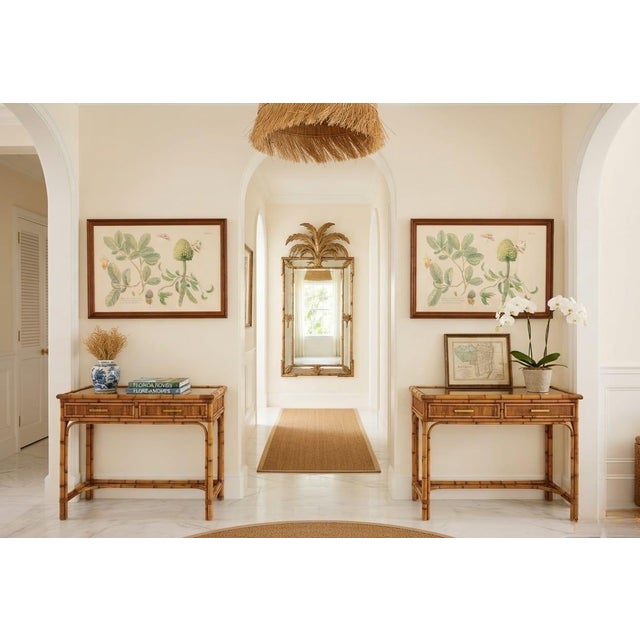 Pair of Vintage Botanical & Entomological Framed Art Prints For Sale In West Palm - Image 6 of 12
