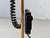 Baltensweiler Halo 250 Floor Lamp in Brass For Sale - Image 5 of 18