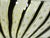 Vintage Murano Art Glass Dish For Sale In San Francisco - Image 6 of 13