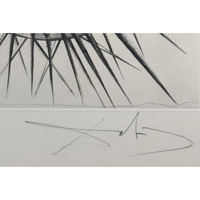 Surrealism 1960s Share Dali Don Quichotte Et l'Oursin Hand Sig Numb Etching Surreal Very Rare Art For Sale - Image 3 of 5