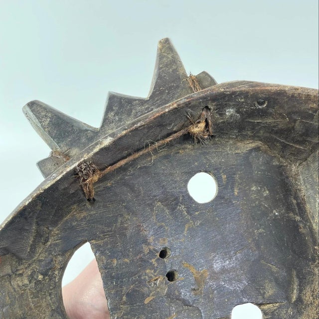 Early 20th Century Boa Mask For Sale - Image 4 of 8