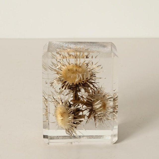 Acrylic Glass Paperweight with Encased Flowers by Pierre Giraudon, France, 1970s For Sale - Image 9 of 14