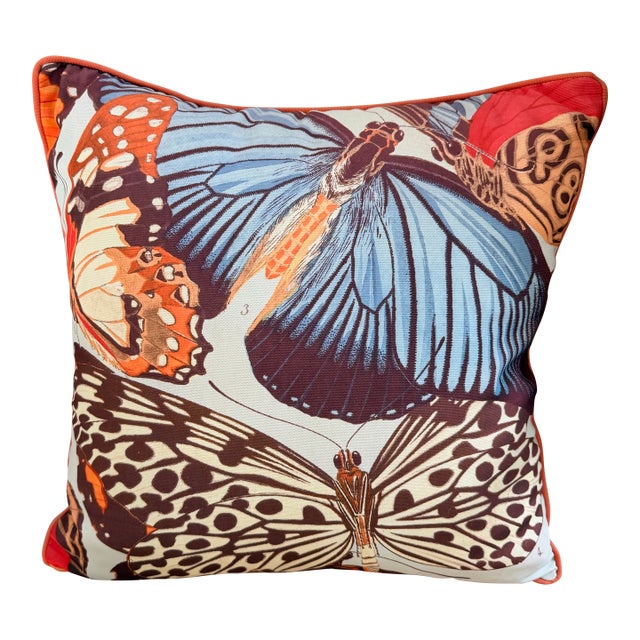 Frontgate Oversized Butterfly 20x20 Accent Pillow With Coral Piping For Sale