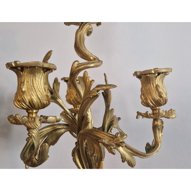 Antique Louis XV Candleholders in Gilt Bronze, Set of 2 For Sale - Image 5 of 18