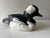 Skillfully crafted hand-carved and painted wooden bufflehead duck decoy. Decoy features the bird's characteristic stark...
