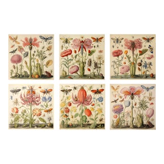 Set of 6 - 54" X 36" Gallery Wall Installation 'Insects and Flowers' Botanical Floral Prints, Unframed For Sale