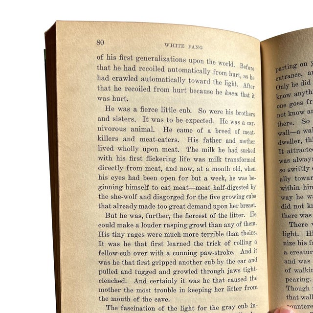 Antique Jack London White Fang Seven Seas Edition Collier Illustrated c.1906 For Sale - Image 10 of 15