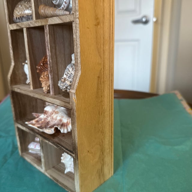 Shell Vintage Wooden Shadow Box Display With Collected Seashells For Sale - Image 7 of 12