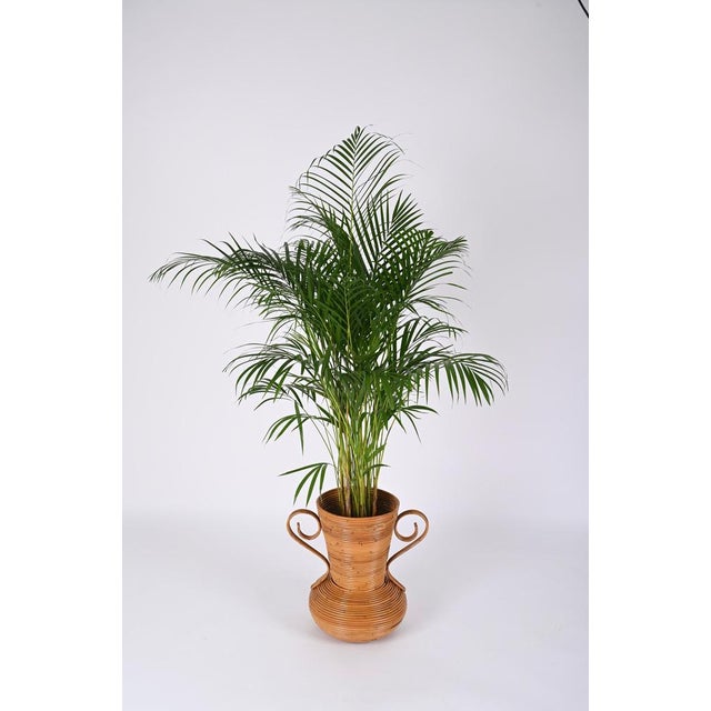 Bamboo and Rattan Vase by Vivai del Sud, Italy, 1970s For Sale - Image 14 of 17