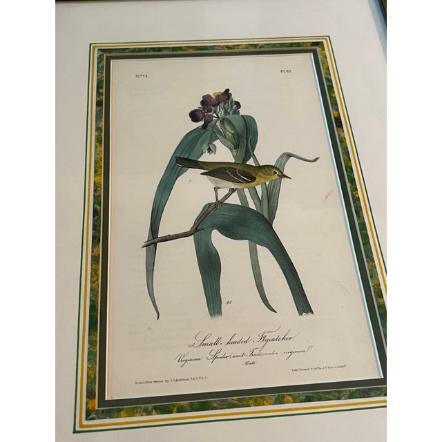 Mid 20th Century Mid 20th Century Audubon Birds of America (First Edition Royal Octavo) | Antique Prints of Rare Songbird Collection- Set of 4, Framed For Sale - Image 5 of 12