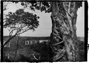 Roberto Vignoli, Iguazu 110, 2007, Digital Print