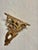 Italian Gold Gilt Carved Wood Wall Shelf by Franco Tacchi, Early 20th Century For Sale - Image 10 of 11
