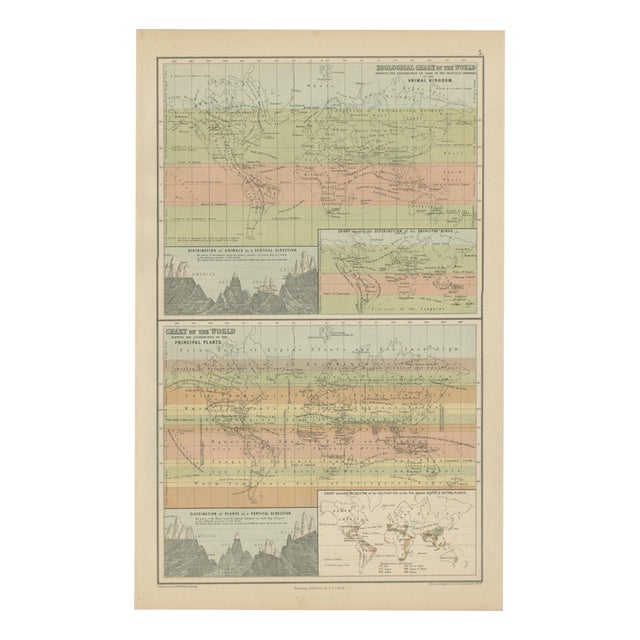 Antique Chart of the World, 1870 For Sale