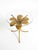 Mid-Century Florentine Gilded Side Table with Large Leaves and Glass Top, 1960s For Sale - Image 10 of 18