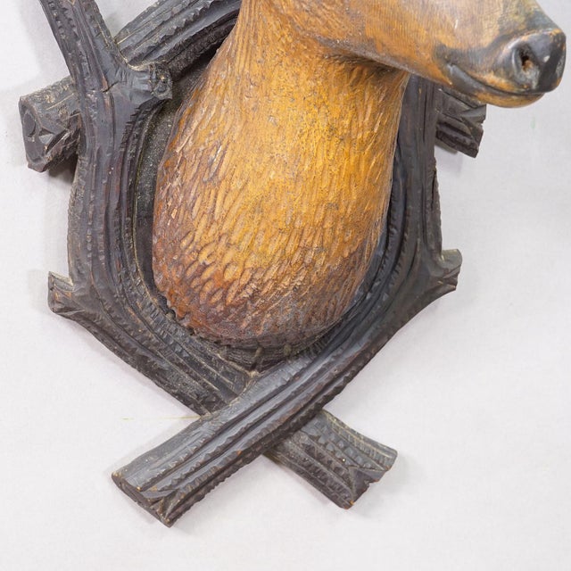 Early 20th Century Large Naturalistic Black Forest Carved Deer Head, Ca. 1930s For Sale - Image 5 of 8