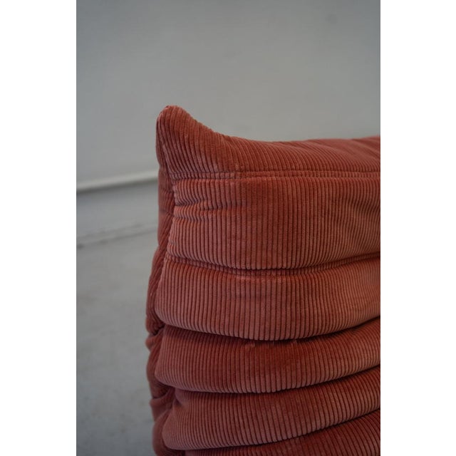Togo Lounge Chair in Coral Corduroy by Michel Ducaroy for Ligne Roset For Sale - Image 11 of 16
