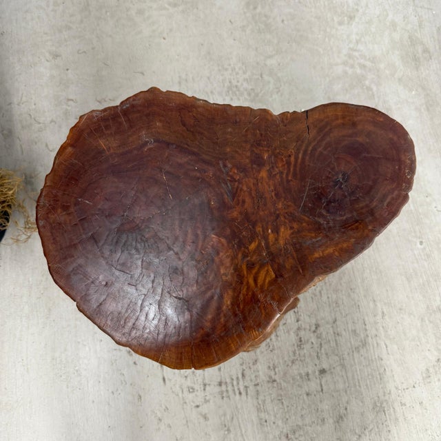 Mid 20th Century Warm Honey Brown Free-Form Tree Trunk Side Pedestal Table For Sale - Image 4 of 10