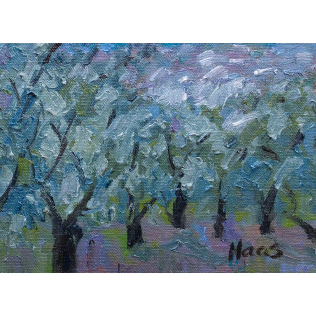Quiet Places & Natural Rhythms — Olive Grove This landscape study focuses on the structured yet organic nature of an olive...