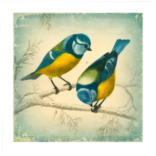 Reproduction of an Antique '2 Birds' Archival Print For Sale