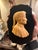 Early 19th Century Italian Grand Tour Relief Siena Marble Carved Profile Plaque of Dante Alighieri Paperweight For Sale - Image 11 of 13