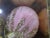 2010s Pink Velvet Christmas Ornaments Gold Sequin Accents in Original Box a Set of Six For Sale - Image 5 of 8