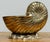 Vintage Brass Nautilus Shell Planter For Sale In Kansas City - Image 6 of 9