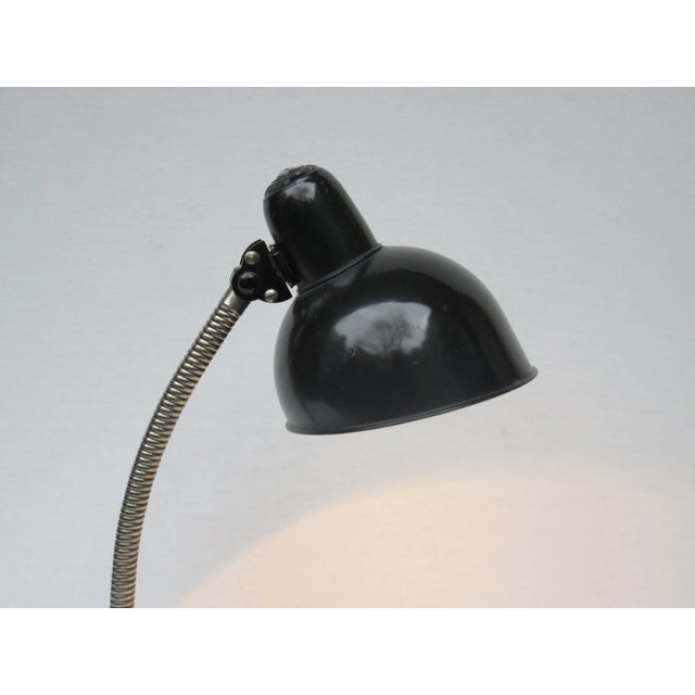 6561 Desk Lamp by Christian Dell for Kaiser Idell, 1930s For Sale - Image 12 of 13