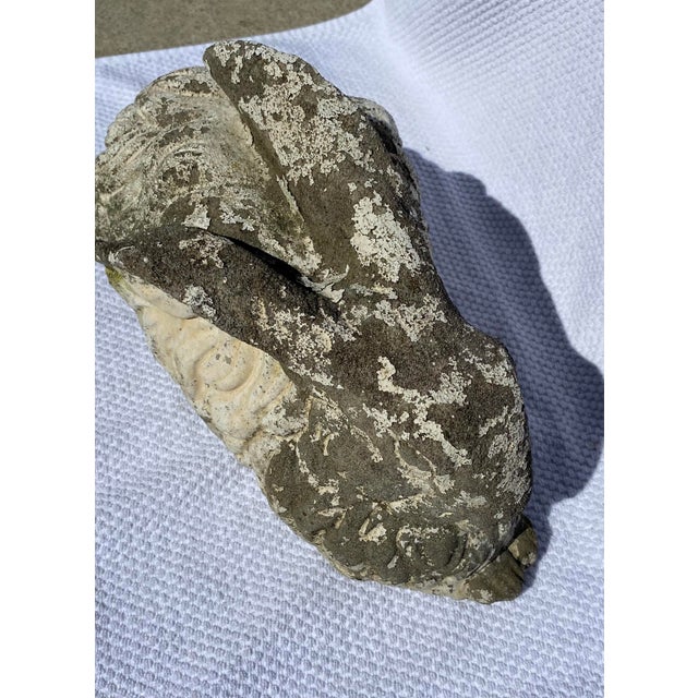 Antique English Cement Garden Rabbit | Chairish