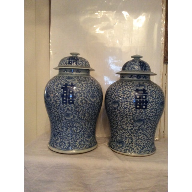 Chinese Blue and White Ginger Jars a Pair Chairish