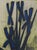 Modern Bernard Buffet, The Irises, Original Signed Lithograph For Sale - Image 3 of 4