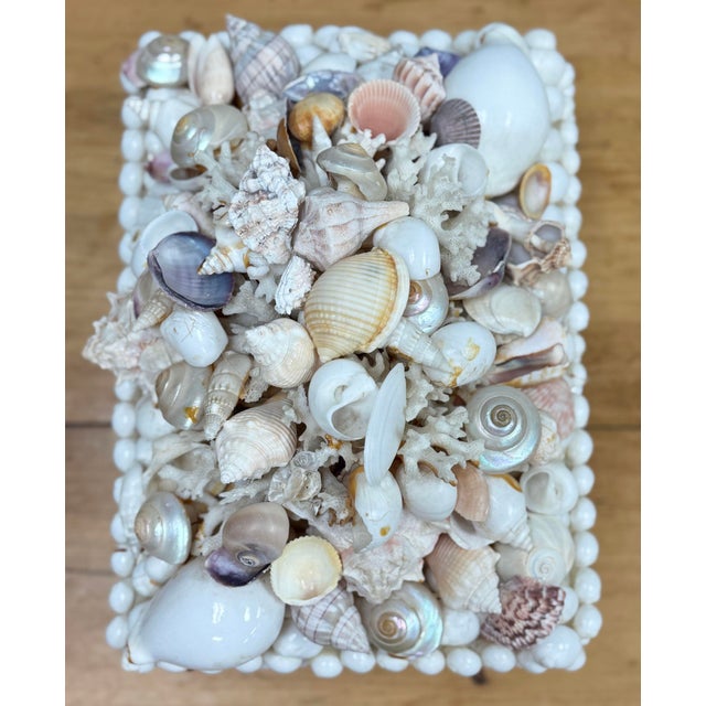 Large Shell Encrusted Lidded Box For Sale - Image 10 of 12