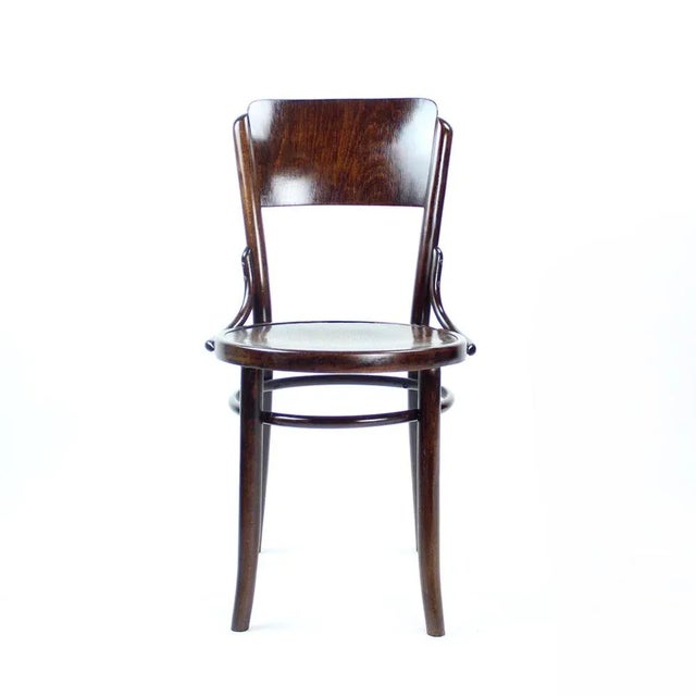 Vintage Bentwood Design Chair from Tatra, Czechoslovakia, 1950s For Sale - Image 12 of 14