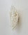 Late 20th Century Wall Mounted White Table Coral Heart Shaped Specimen For Sale - Image 5 of 6