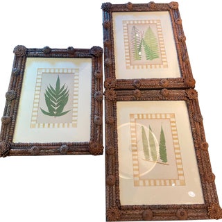 Tramp Art Custom Framed Botanical Engravings For Sale