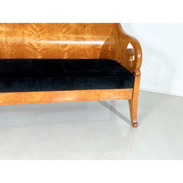 Bench in Birch Veneer, Russia, Early 19th Century For Sale - Image 12 of 13