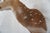 Spotted Deer Head & Bust Mount For Sale - Image 13 of 15