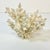 Hollywood Regency Coastal Boho Chic Natural Ivory White-Dove Grey Branch Coral Specimen. For Sale - Image 3 of 12