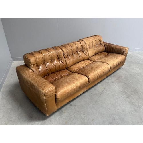 Vintage DS40 Sofa by Robert Haussmann for de Sede, 1970s For Sale - Image 4 of 16