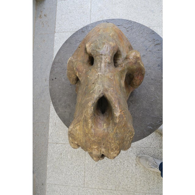 1970s Large Decorative Wooden Dinosaur Head, 1970s For Sale - Image 5 of 16