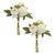 Add a touch of elegance to your decor with this Peony Floral Bundle. Featuring soft white and ivory peony flowers and...