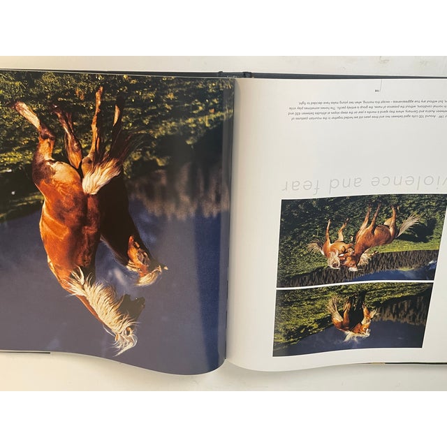 Contemporary 1970s Fabulous Book on Horses Illustrated For Sale - Image 3 of 8