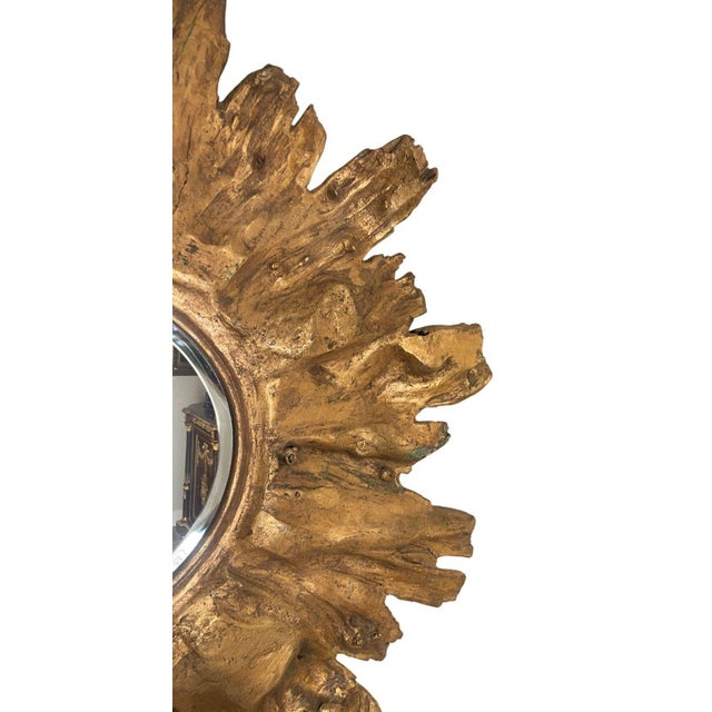 21st Century Floris Mangrove Wood Root Mirror. u.s.A. For Sale - Image 4 of 5